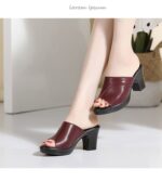 Pointed Toe Chunky Heel High Heels Women’s Shoes, Box Heel-RV1310