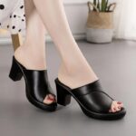 Pointed Toe Chunky Heel High Heels Women’s Shoes, Box Heel-RV1310 - Image 3