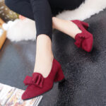 Fashionable Pointed Toe Thick Heel High Heel Women’s Shoes, Style Shoes-RV2418 - Image 3
