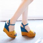 High Heel Sandals Open Toe Thick Bottom Wedge Women’s Shoes, Balance Heel-RV319 - Image 2